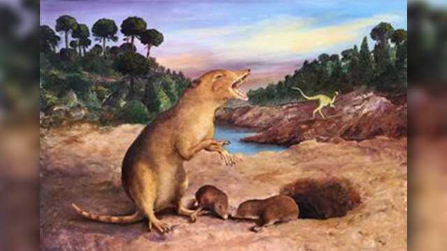 2억2천500만 년 전 ‘최초의 포유류’ 확인…땃쥐 닮은 브라질 동물