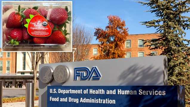 유기농 딸기 관련 A형 간염 발생…FDA 조사
