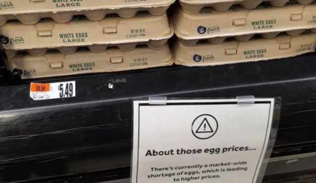 인플레 속 美 계란값도 폭등…조류인플루엔자 여파에 23% 폭등